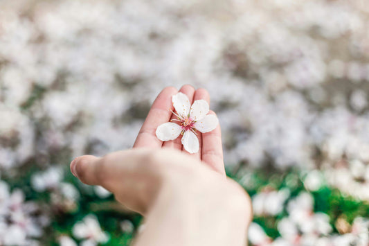 Lab Grown Diamonds for Our Planet